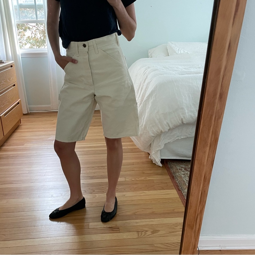 Rare Vintage Stan Ray Painter Shorts